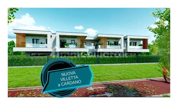 immagine annuncio 3 di 14