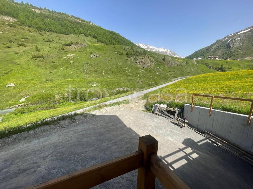 immagine annuncio 10 di 12