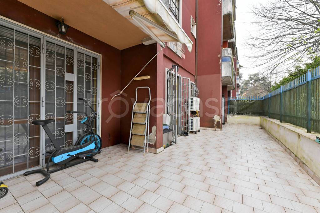 immagine annuncio 10 di 15