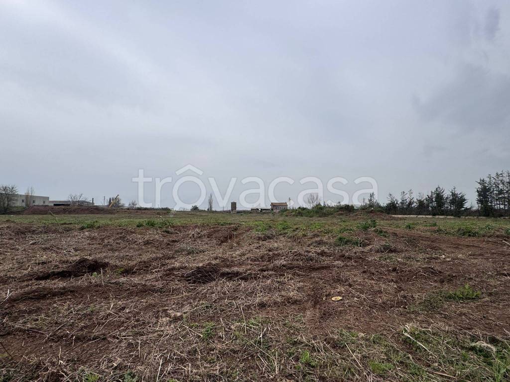 immagine annuncio 6 di 8