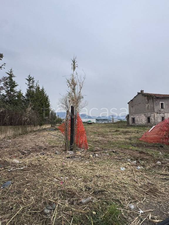 immagine annuncio 7 di 8