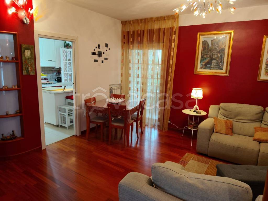 immagine annuncio 5 di 15