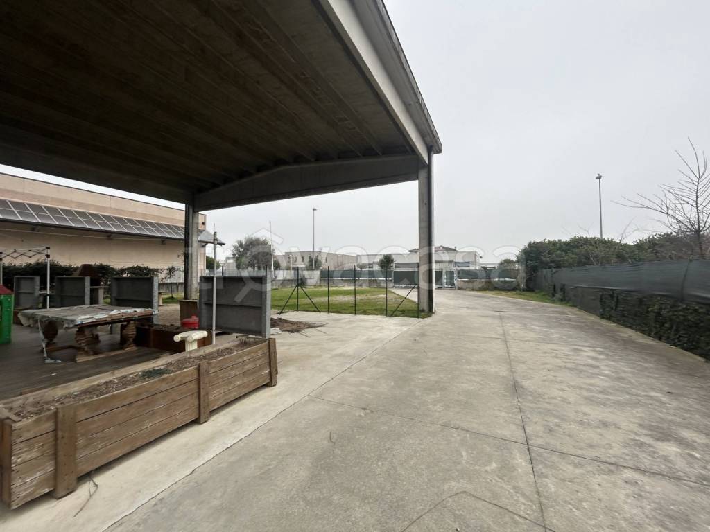 immagine annuncio 1 di 10