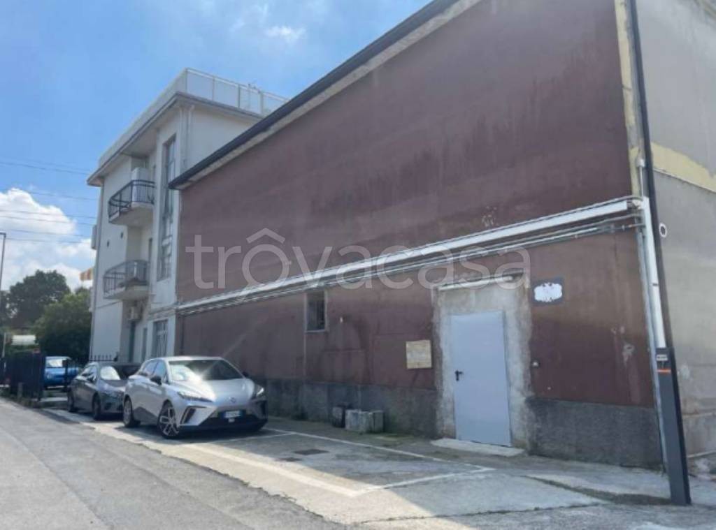 immagine annuncio 3 di 11