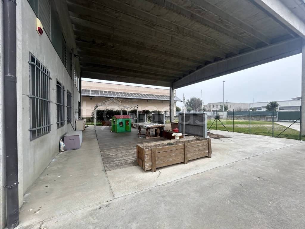 immagine annuncio 3 di 10