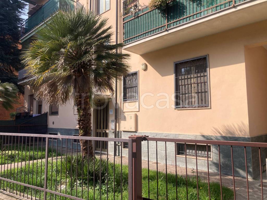 immagine annuncio 1 di 15