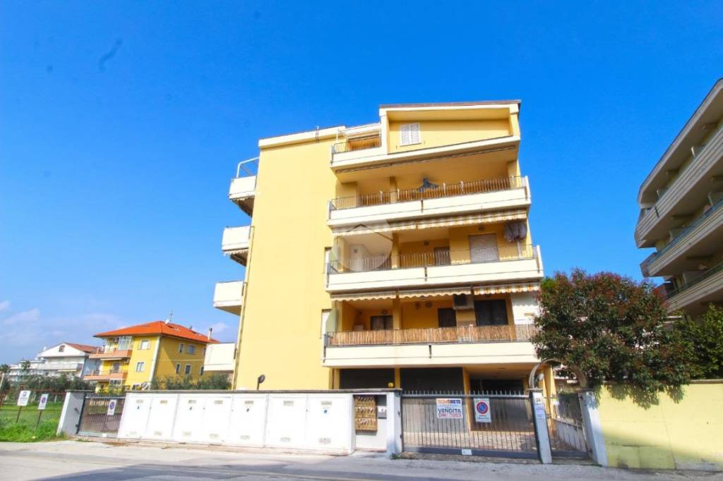 immagine annuncio 12 di 14