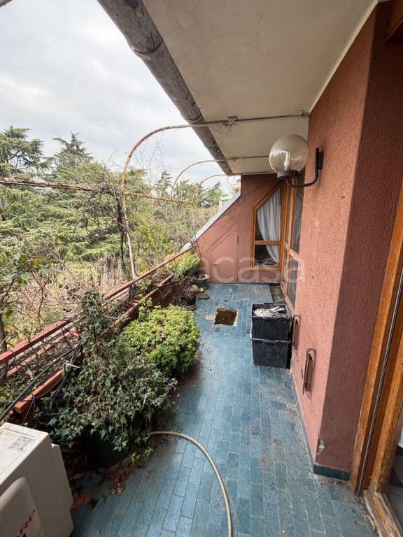 immagine annuncio 8 di 15