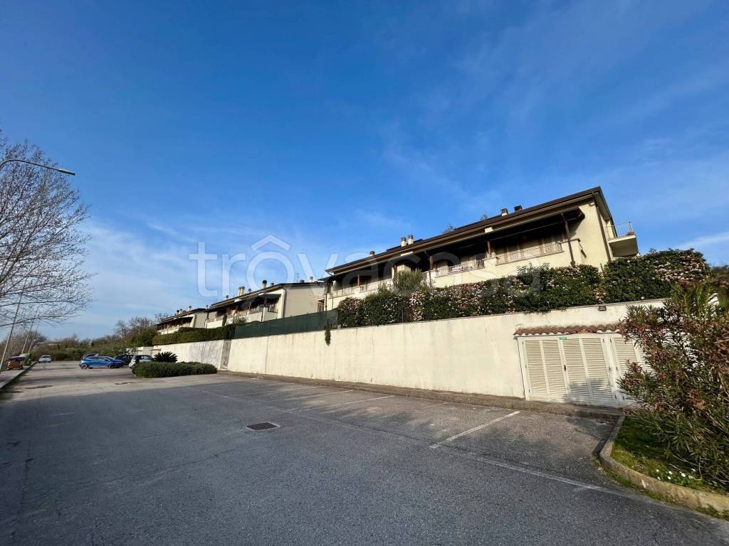 immagine annuncio 1 di 11