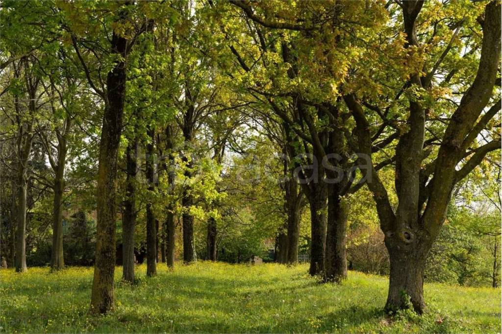 immagine annuncio 4 di 7