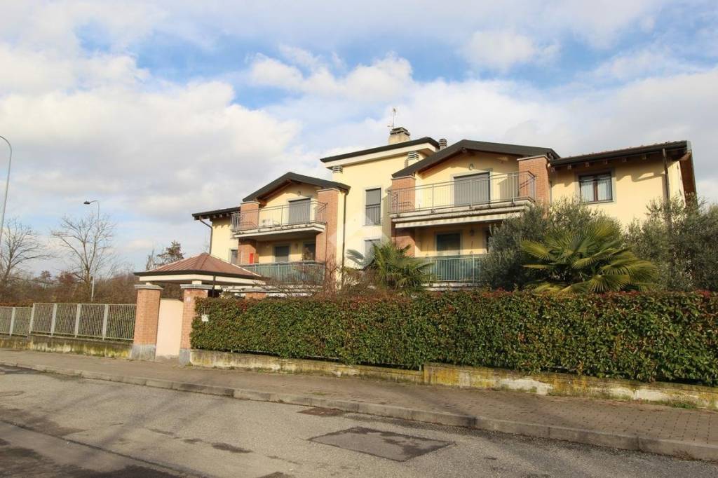 immagine annuncio 3 di 15