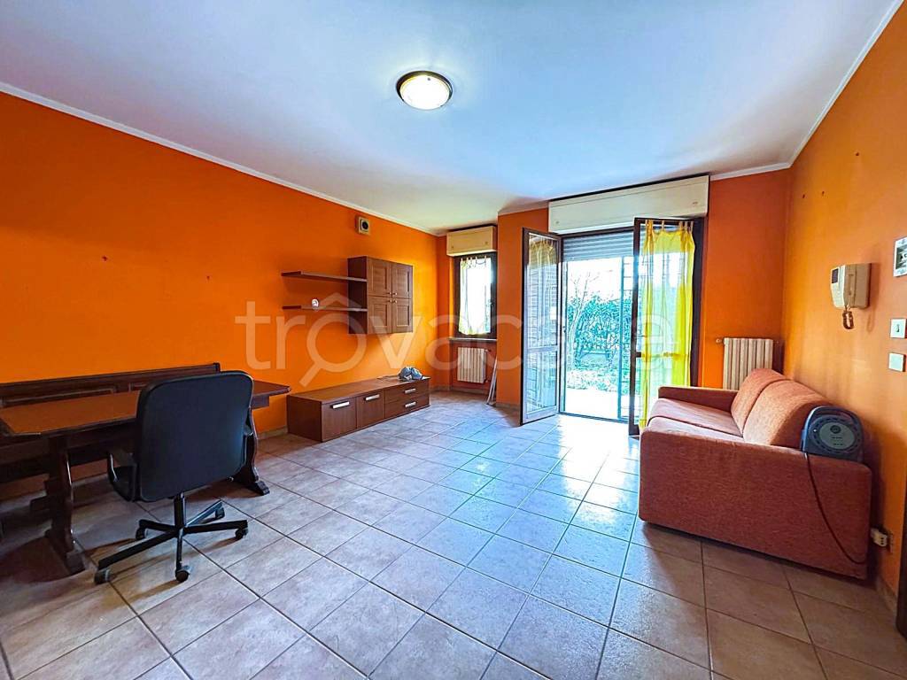 immagine annuncio 3 di 15