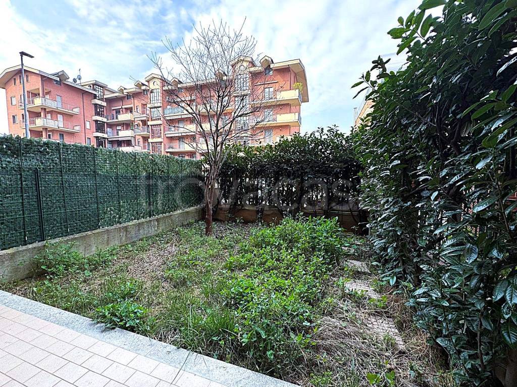 immagine annuncio 9 di 15