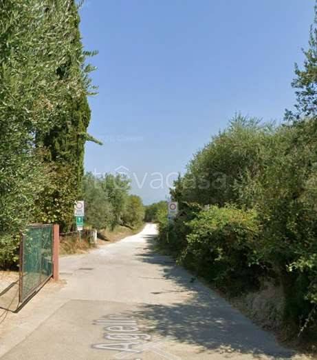 immagine annuncio 7 di 9