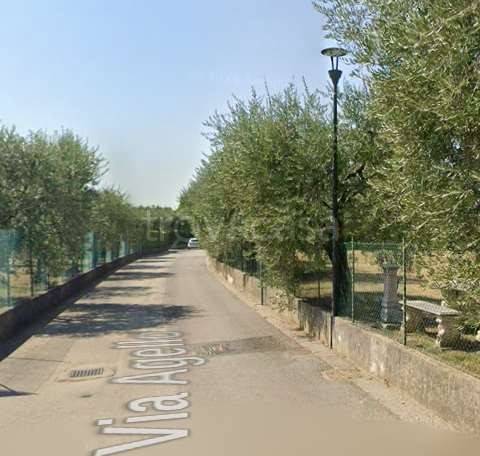 immagine annuncio 8 di 9