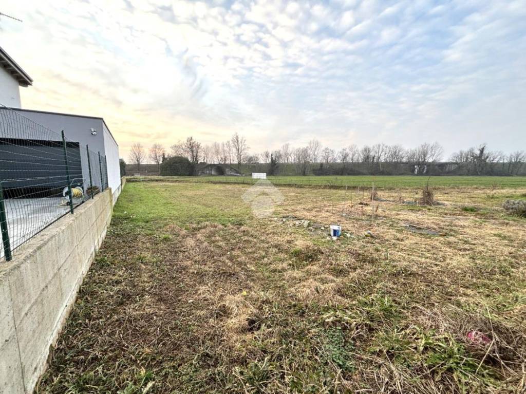 immagine annuncio 3 di 8