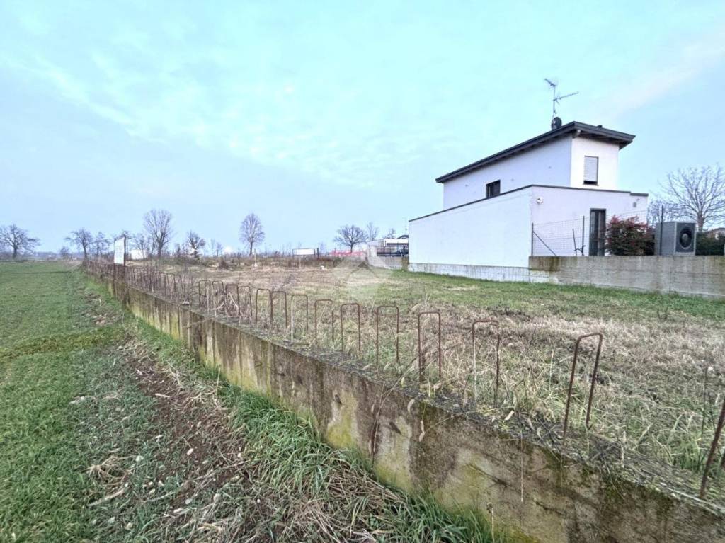 immagine annuncio 4 di 8