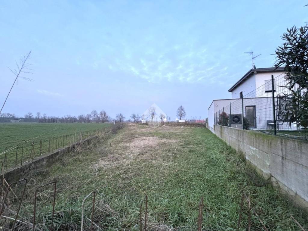 immagine annuncio 5 di 8