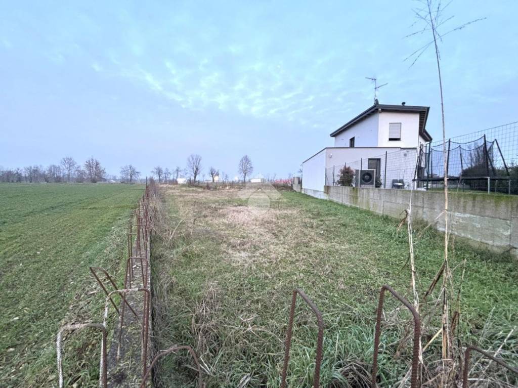 immagine annuncio 6 di 8