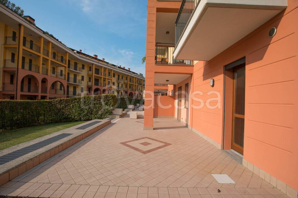 immagine annuncio 11 di 15