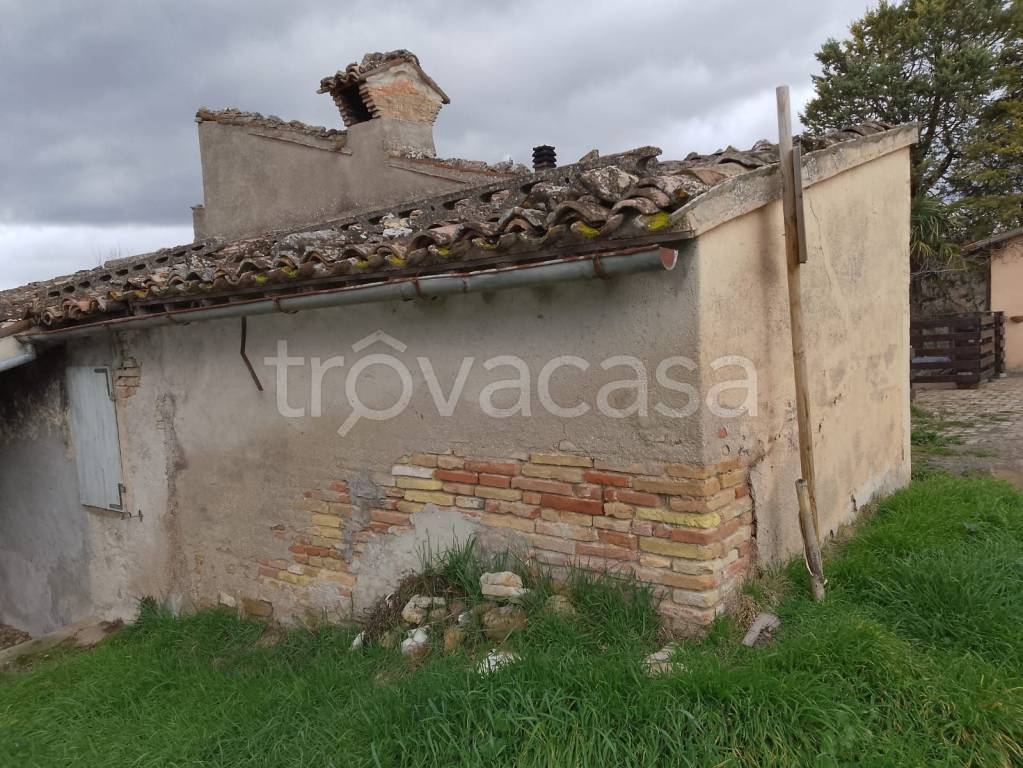 immagine annuncio 4 di 7