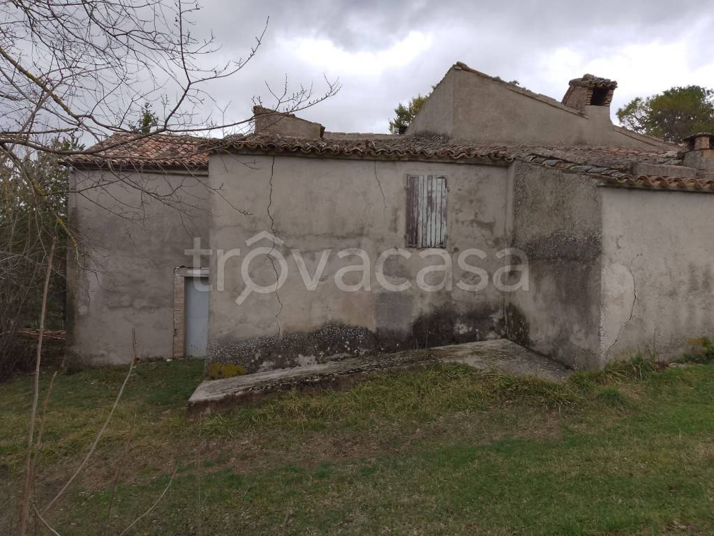 immagine annuncio 5 di 7