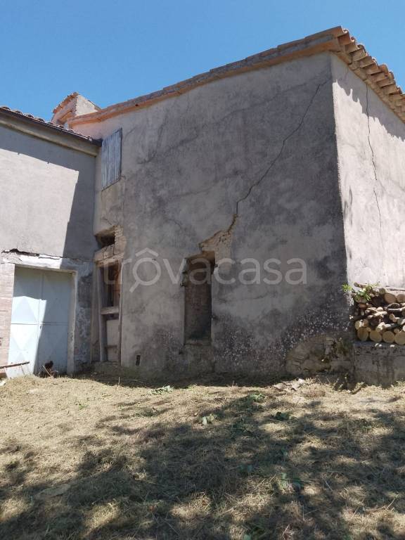 immagine annuncio 6 di 7