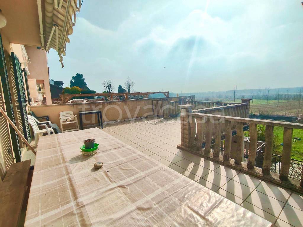 immagine annuncio 11 di 15