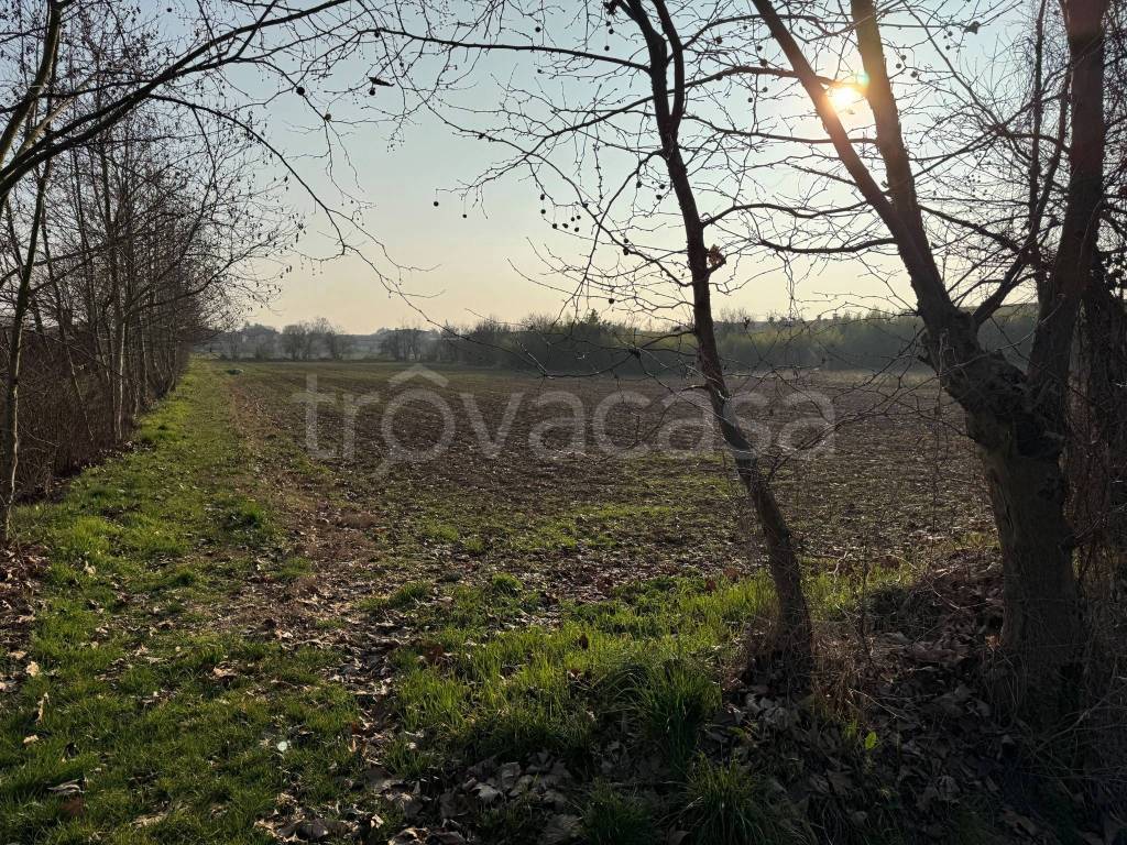 immagine annuncio 3 di 9