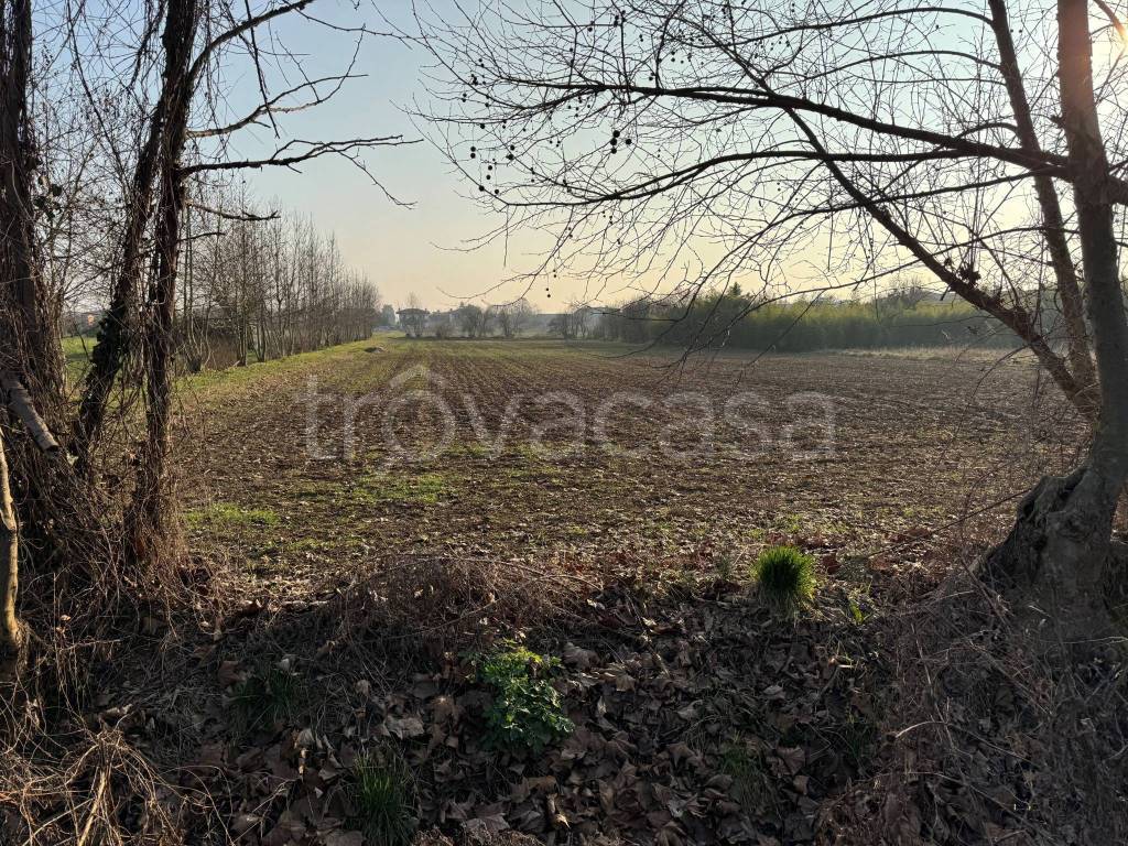 immagine annuncio 4 di 9