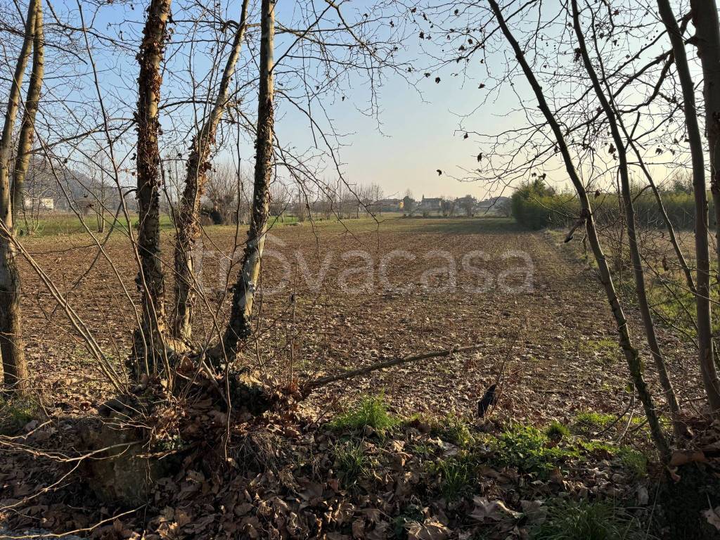 immagine annuncio 5 di 9