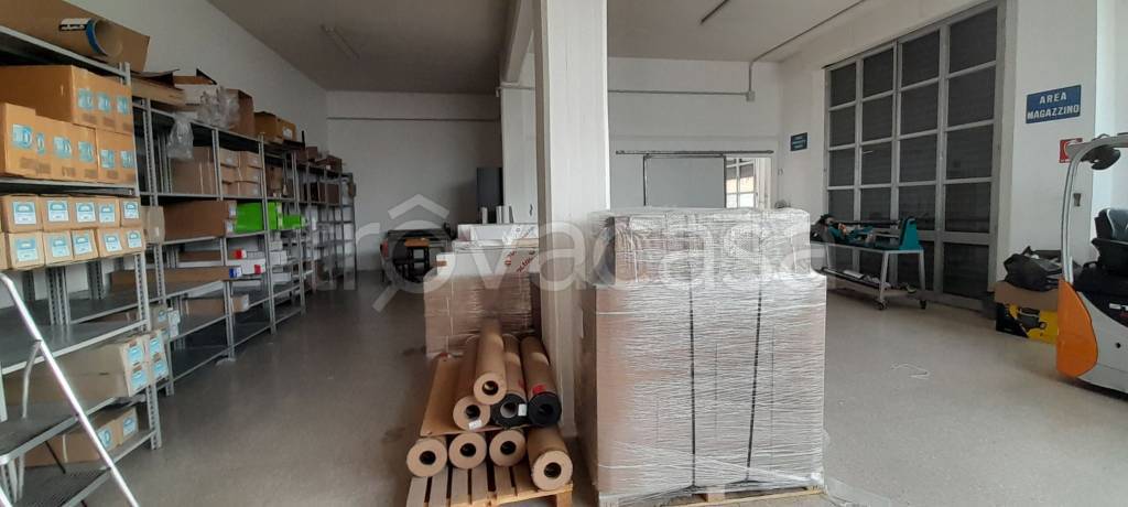 immagine annuncio 3 di 8