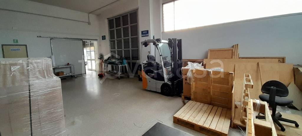 immagine annuncio 4 di 8