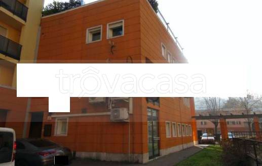 immagine annuncio 5 di 12