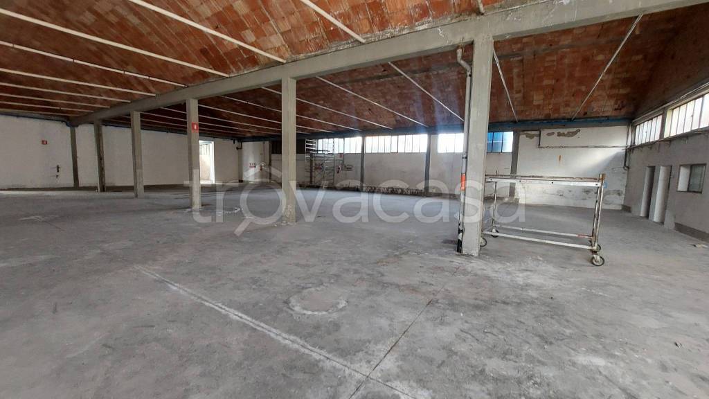 immagine annuncio 1 di 13