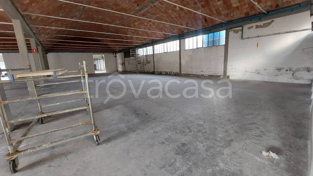 immagine annuncio 2 di 13