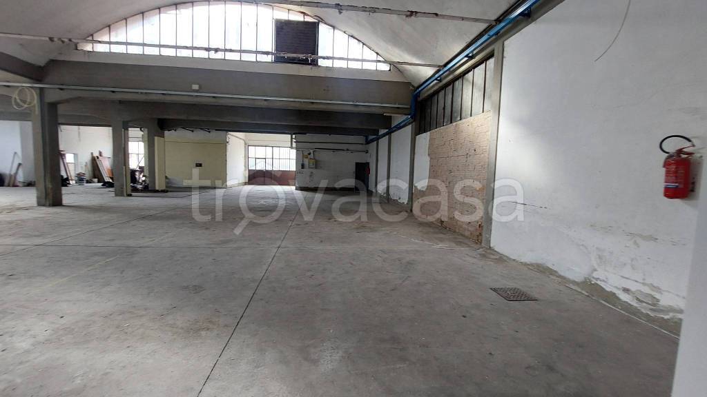 immagine annuncio 4 di 13