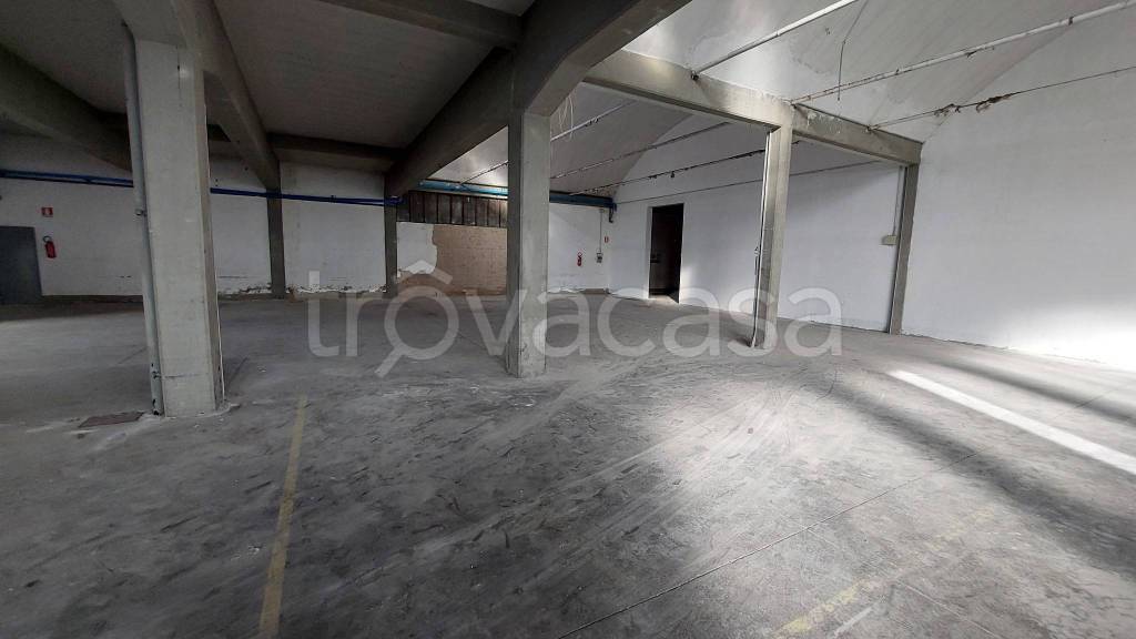 immagine annuncio 7 di 13