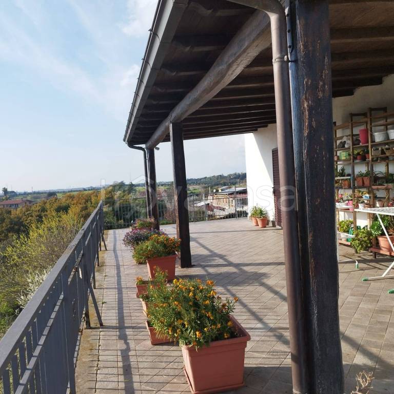 immagine annuncio 8 di 12