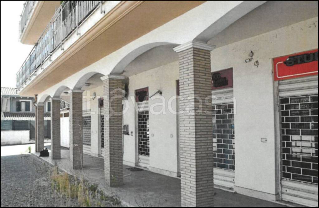 immagine annuncio 3 di 14