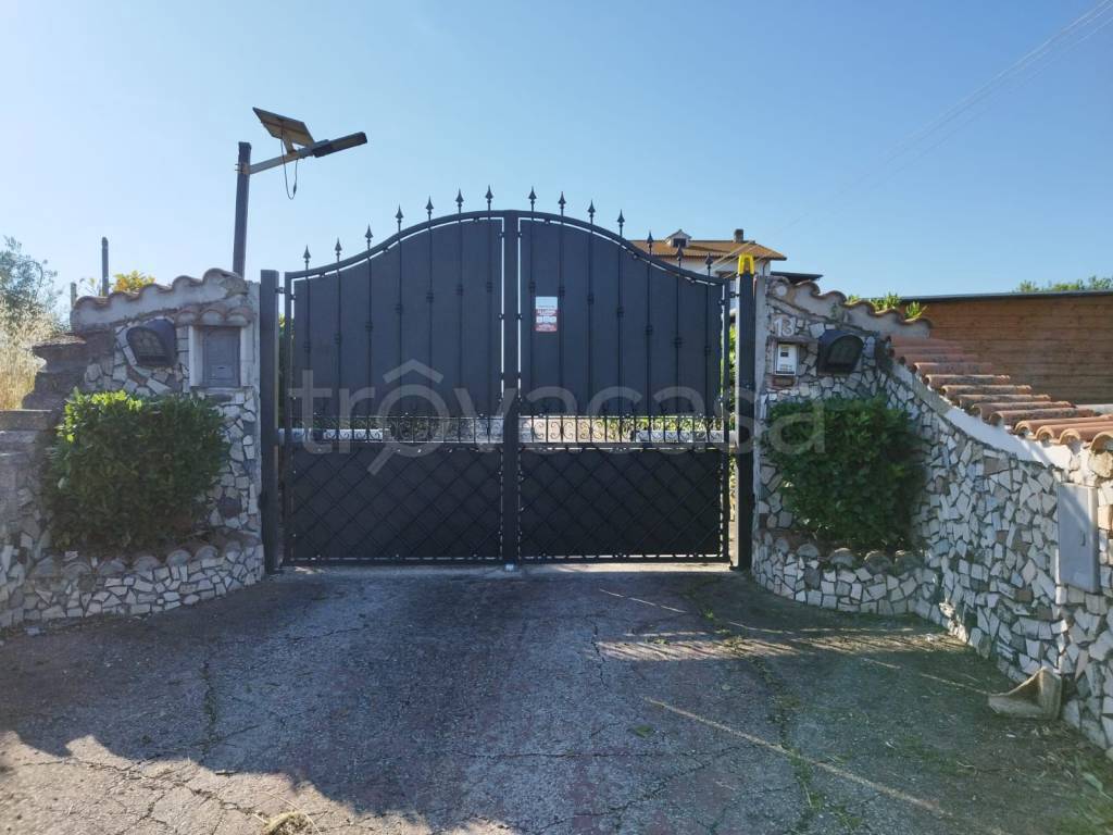 immagine annuncio 9 di 12