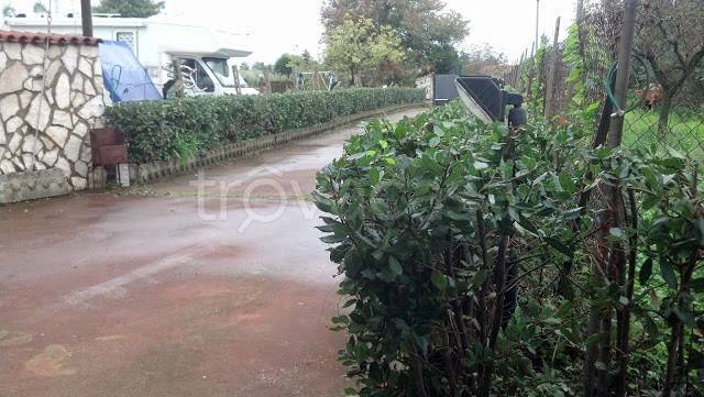 immagine annuncio 10 di 12