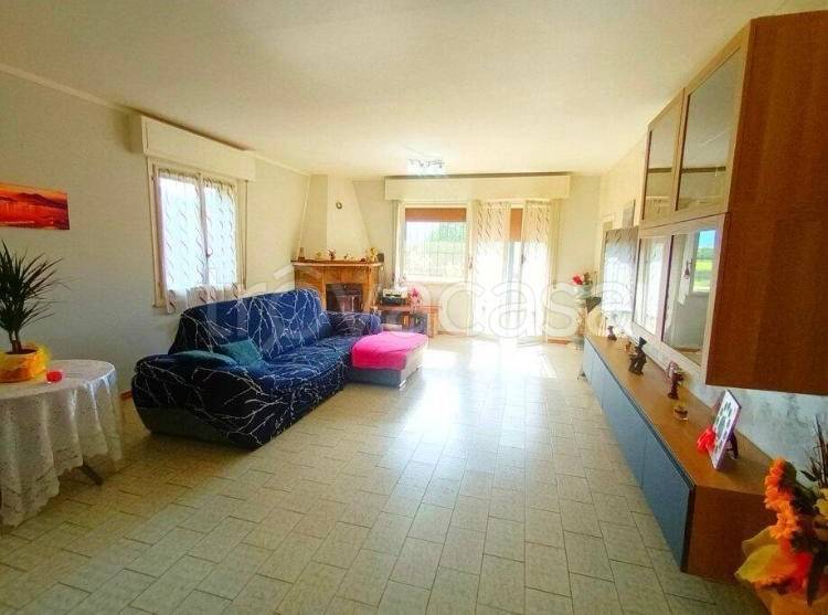 immagine annuncio 3 di 8