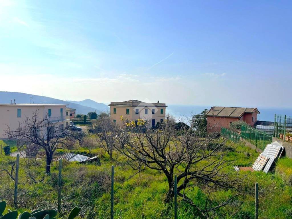 immagine annuncio 1 di 7