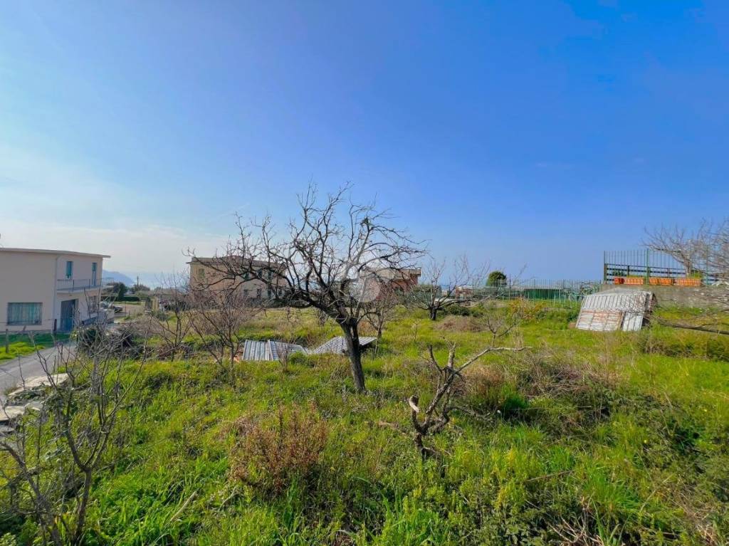 immagine annuncio 2 di 7