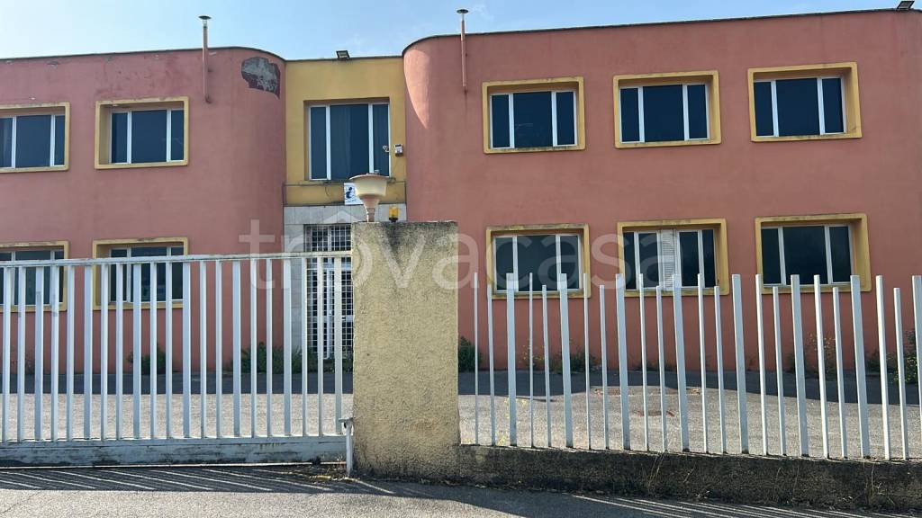 immagine annuncio 2 di 8