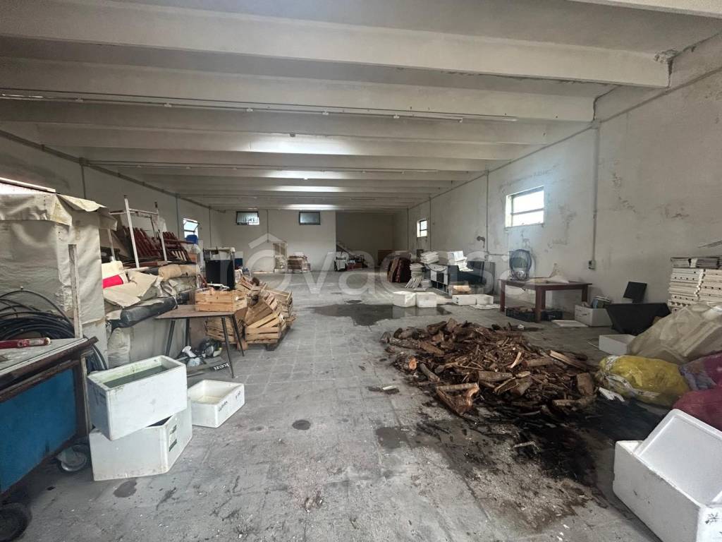 immagine annuncio 3 di 8