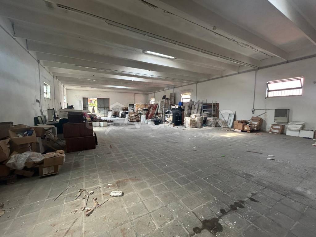 immagine annuncio 6 di 8