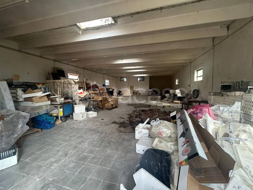 immagine annuncio 7 di 8