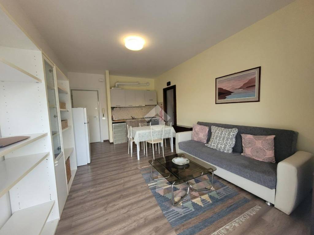 immagine annuncio 3 di 7